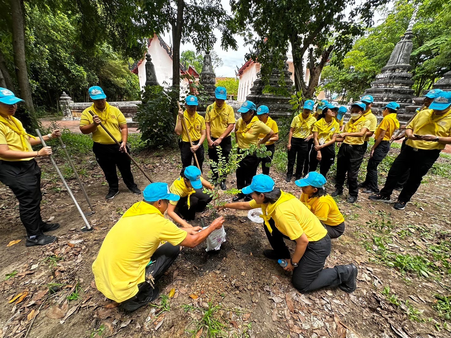 กิจกรรม รูปภาพ 3